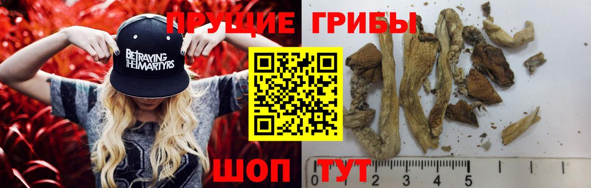 Скопин  Псилоцибиновые грибы GOLDEN TEACHER  Вход с VPN 